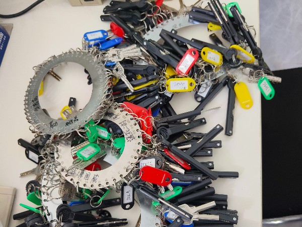 皇迪连续五年守护深圳电信员工“回家路” 皇迪连续五年守护深圳电信员工“回家路”